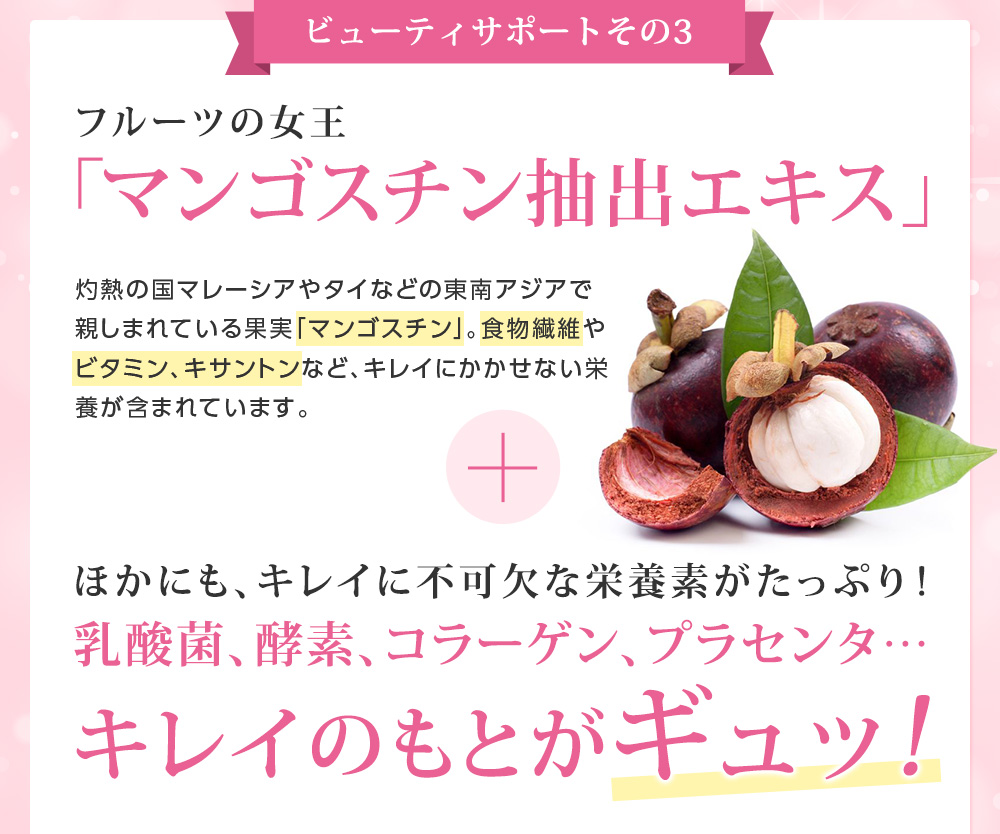 ビューティサポートその3 フルーツの女王「マンゴスチン抽出エキス」灼熱の国マレーシアやタイなどの東南アジアで親しまれている果実「マンゴスチン」。食物繊維やビタミン、キサントンなど、キレイにかかせない栄養が含まれています。ほかにも、キレイに不可欠な栄養素がたっぷり!乳酸菌、酵素、コラーゲン、プラセンタ… キレイのもとがギュッ! 